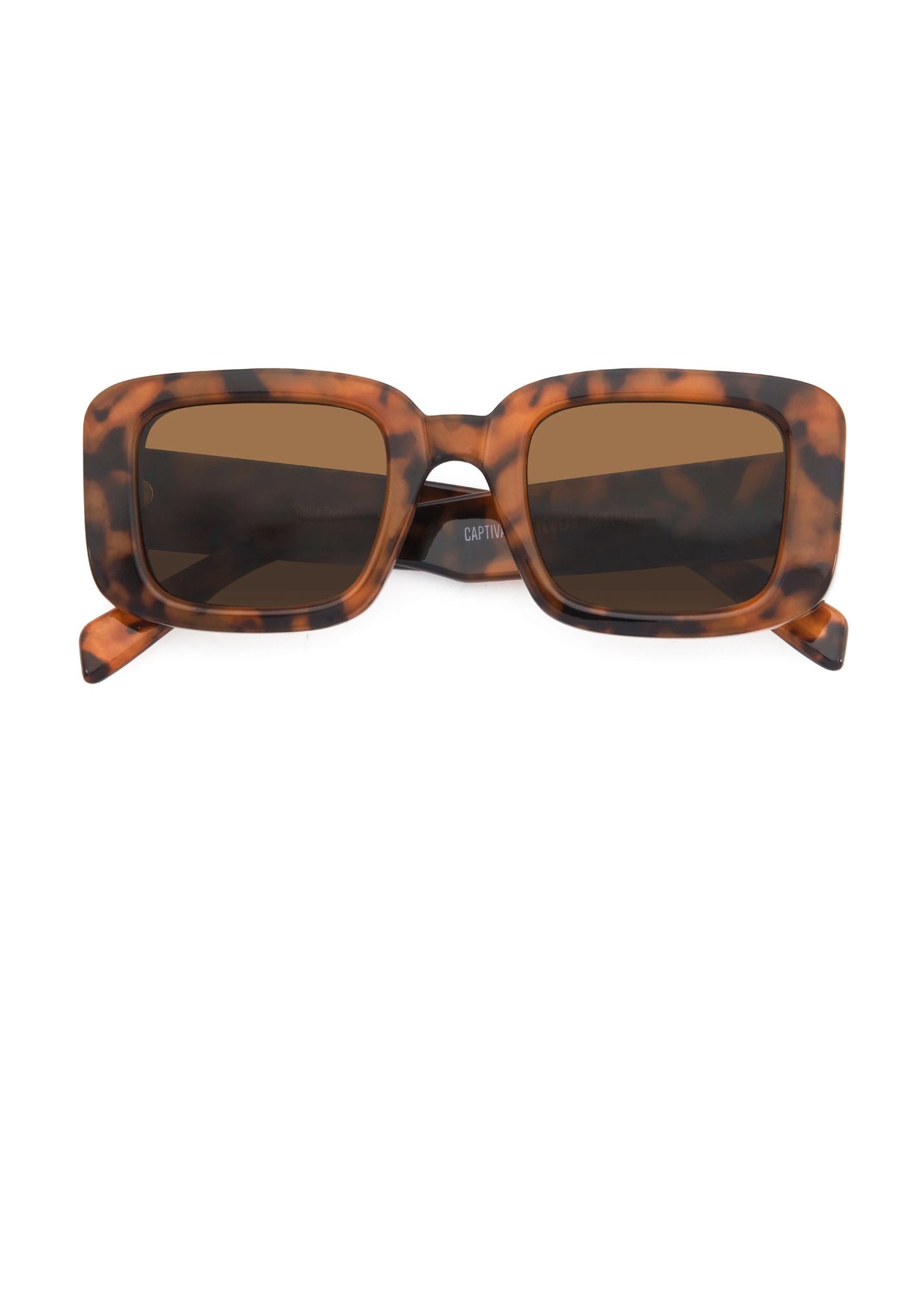 SHILLA Captivated Sunglasses Tortoise Shell